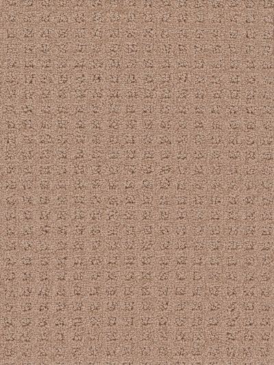 Dream Weaver Touch Of Class Mushroom 1036_715
