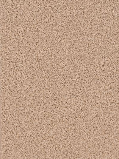 Dream Weaver Broadcast Cookie Dough 3025_705
