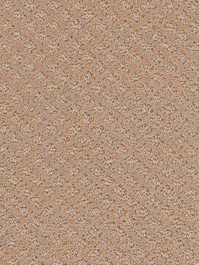 Dream Weaver Marquis Fawn 3022_705