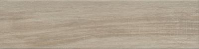 Emser Pocono Porcelain Matte Oak F19POCOOA0624P14