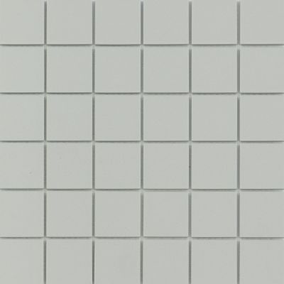 Emser Source Porcelain Matte Gray W71SOURGR