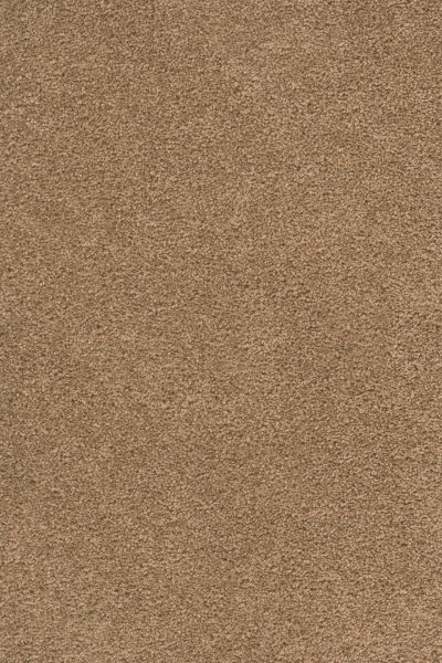 Dream Weaver Big Time Honey Beige 3135_510