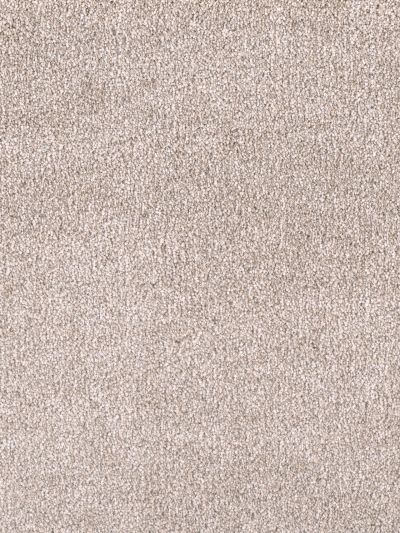 Dream Weaver Easy Living II Cream Sauce 7050_6