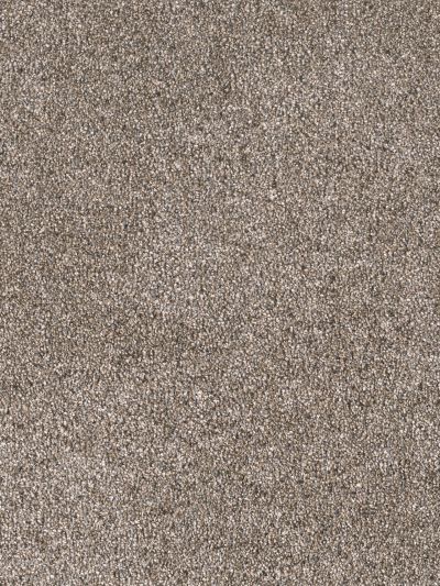 Dream Weaver Easy Living I Tahiti Taupe 7040_15