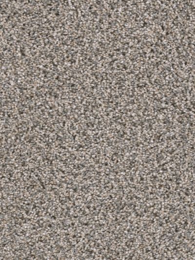 Shop Dream Weaver Reflections II Glimmer 5365_262 Carpet