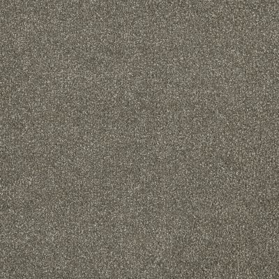 Dream Weaver Malibu II Cinnamon Tea 3750_528