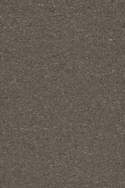 Pentz Commercial Salisbury 26 Broadloom Charcoal SAL26_004