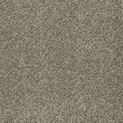 Dream Weaver Brazen II Moonshine 6260_250
