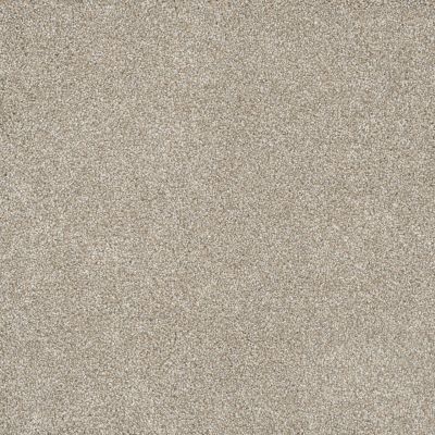 Dream Weaver Posh III Nuggett 7255_313