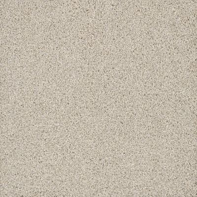 Dream Weaver Posh III Rum Point 7255_565