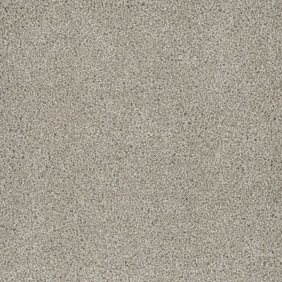 Dream Weaver Posh III Mirage 7255_585