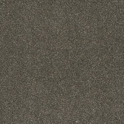 Dream Weaver Posh III Bravado 7255_934
