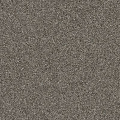 Dream Weaver Cosmopolitan II Shadows 8550_826