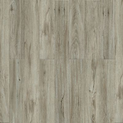 Engineered Floors Triumph® New Standard II Paradise R004_4005