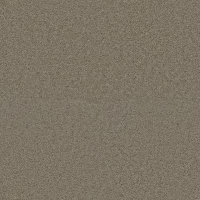 Dream Weaver Exceptional II Hazelnut Cream 7404_775