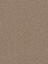 Dream Weaver Cedar Creek Doeskin 2030_530