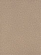 Dream Weaver Cedar Creek Camel 2030_710