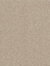 Dreamweaver Cape Cod Textured Cut Pile Sand 2540_710