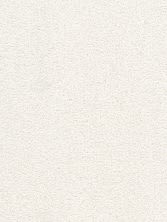Dreamweaver Cape Cod Textured Cut Pile Opaline 2540_714
