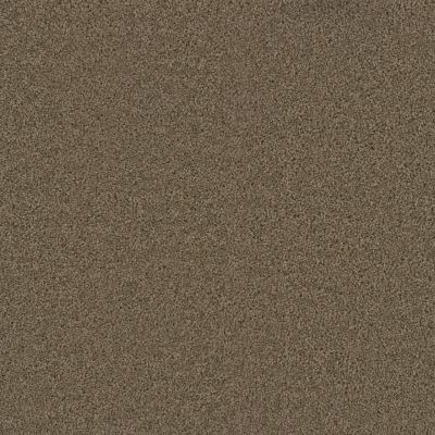 Dream Weaver Pike’s Peak Honey Beige 2625_510