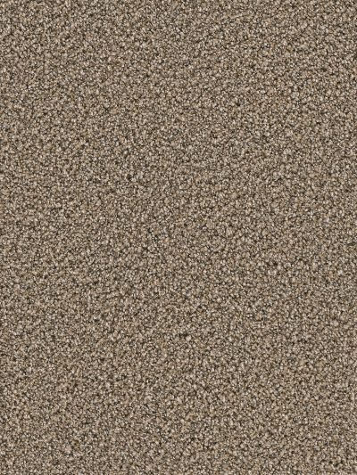 Dream Weaver Simply Blended Five Star 9645_387