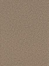 Dreamweaver Broadcast Cut Pile Doeskin 3025_530
