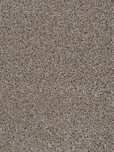 Dream Weaver Trendsetter I Textured Cut Pile Oatlands 3640_201