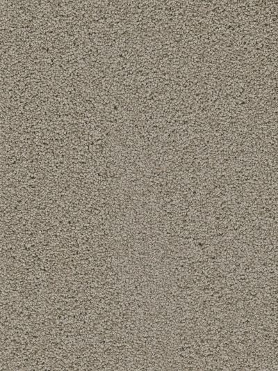 Dream Weaver Soft Touch Taupe 9420_775