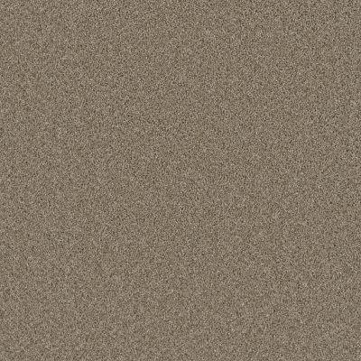 Dream Weaver Metropolitan II Straw 8400_551