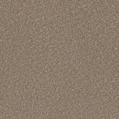 Dreamweaver Extreme Toffee GF1218-2720