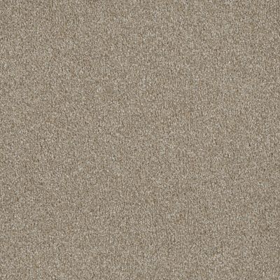 Lifescape Designs Well Done I Textured Cut Pile Outback 7740_298