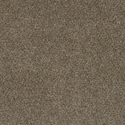 Lifescape Designs Well Done I Textured Cut Pile Island Spice 7740_307