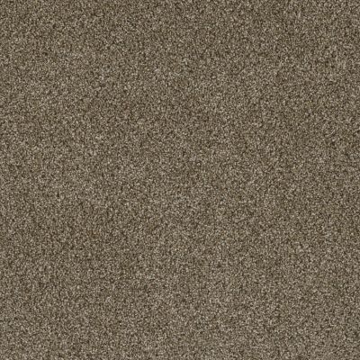 Lifescape Designs Well Done III Textured Cut Pile Island Spice 7760_307