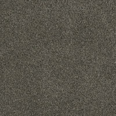 Lifescape Designs Well Done III Textured Cut Pile Midnight Shadow 7760_427