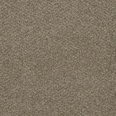 Lifescape Designs Well Done III Textured Cut Pile Sienna Sand 7760_680