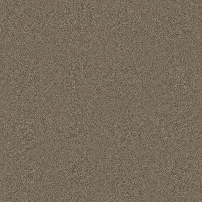 Dream Weaver Broadcast Plus Doeskin 3125_530