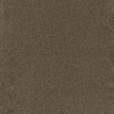 Dream Weaver Broadcast Plus Balsam 3125_565