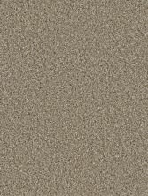 Dream Weaver Cosmopolitan II Acorn 8550_858