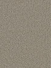 Dreamweaver Cosmopolitan II Textured Cut Pile Ash 8550_-945