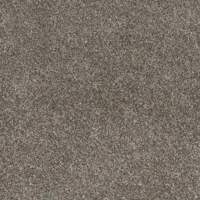 Dreamweaver Gold Standard II PureColor® featuring High-Def Color Technology™ Pewter 2316-PEWTER-RS