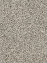 Dream Weaver Cosmopolitan II Iron Frost 8550_815