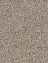 Dream Weaver Cosmopolitan II Mocha 8550_775