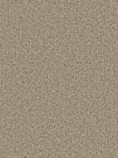 Dream Weaver Cosmopolitan II Straw 8550_551