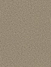 Dream Weaver Cosmopolitan II Wicker 8550_825