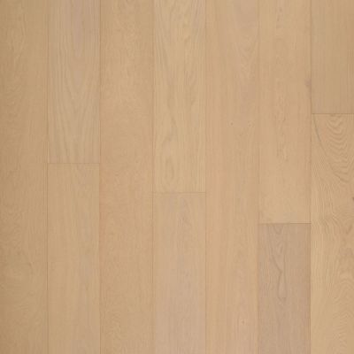 Greenworld Industries Bellissimo Traditional, Country, Eclectic, Contemporary Stella bellissimo_stella