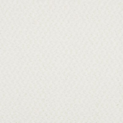 Masland Balthus Non Pattern Pearl MAS-9478009