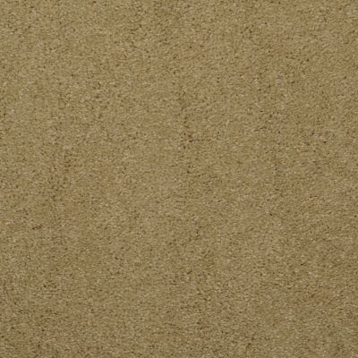 Masland Allegria Non Pattern Bronze Tone MAS-9501341