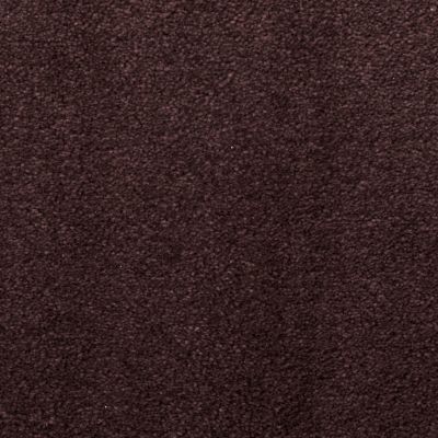 Masland Silk Touch Red Earth 9515951