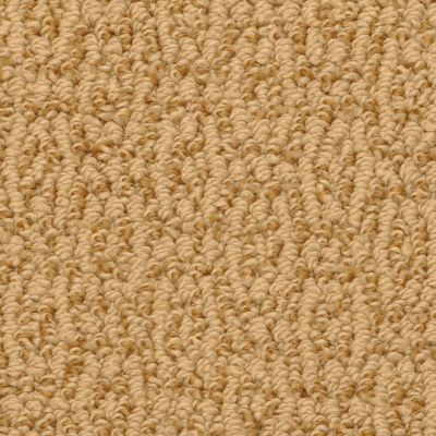 Masland Crochet Elegance Kenyan Copper 9529330