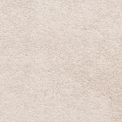 Masland Knockout Frosted Taupe 9615230